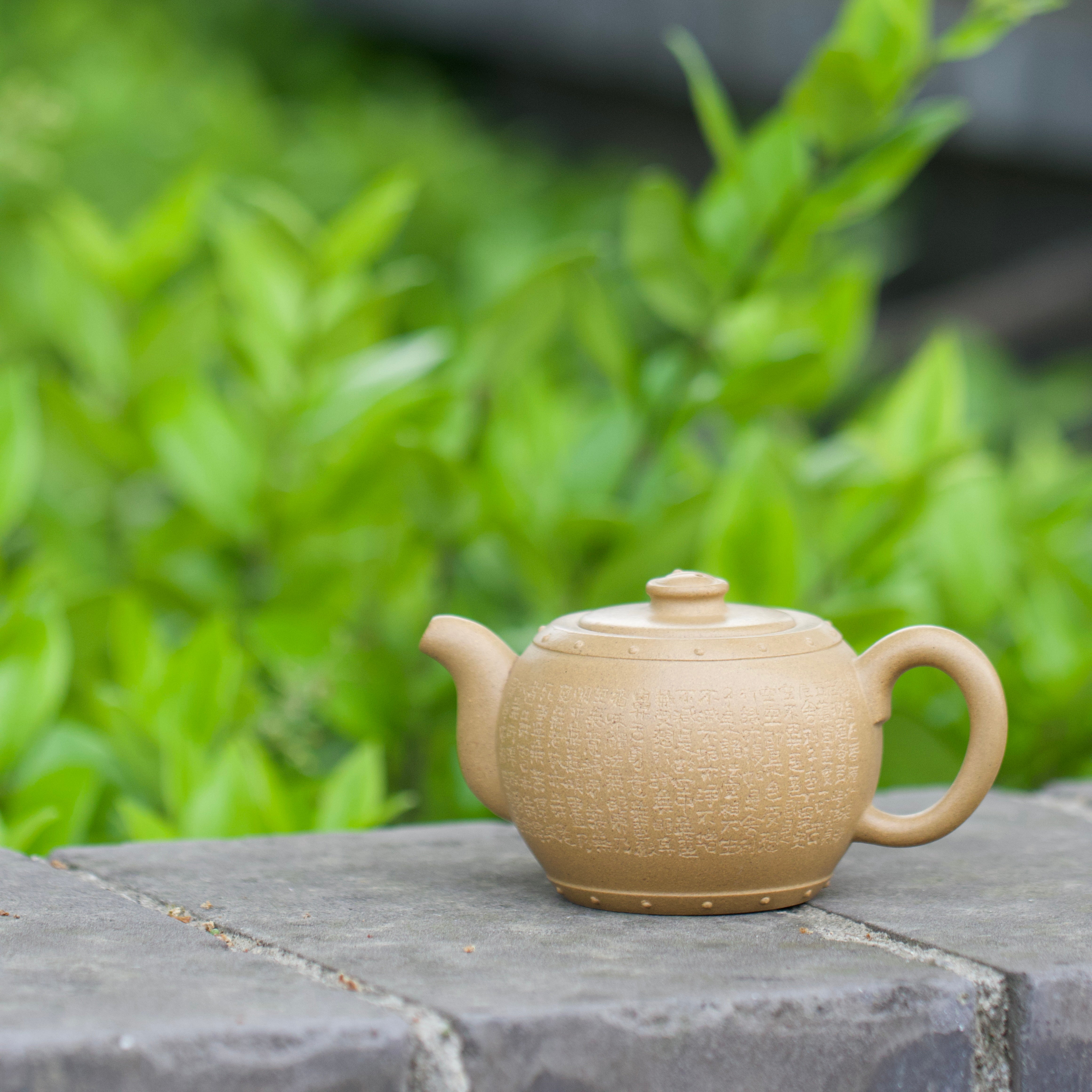 Tai Ji Gu 200cc - Yixing Handmade Teapot.