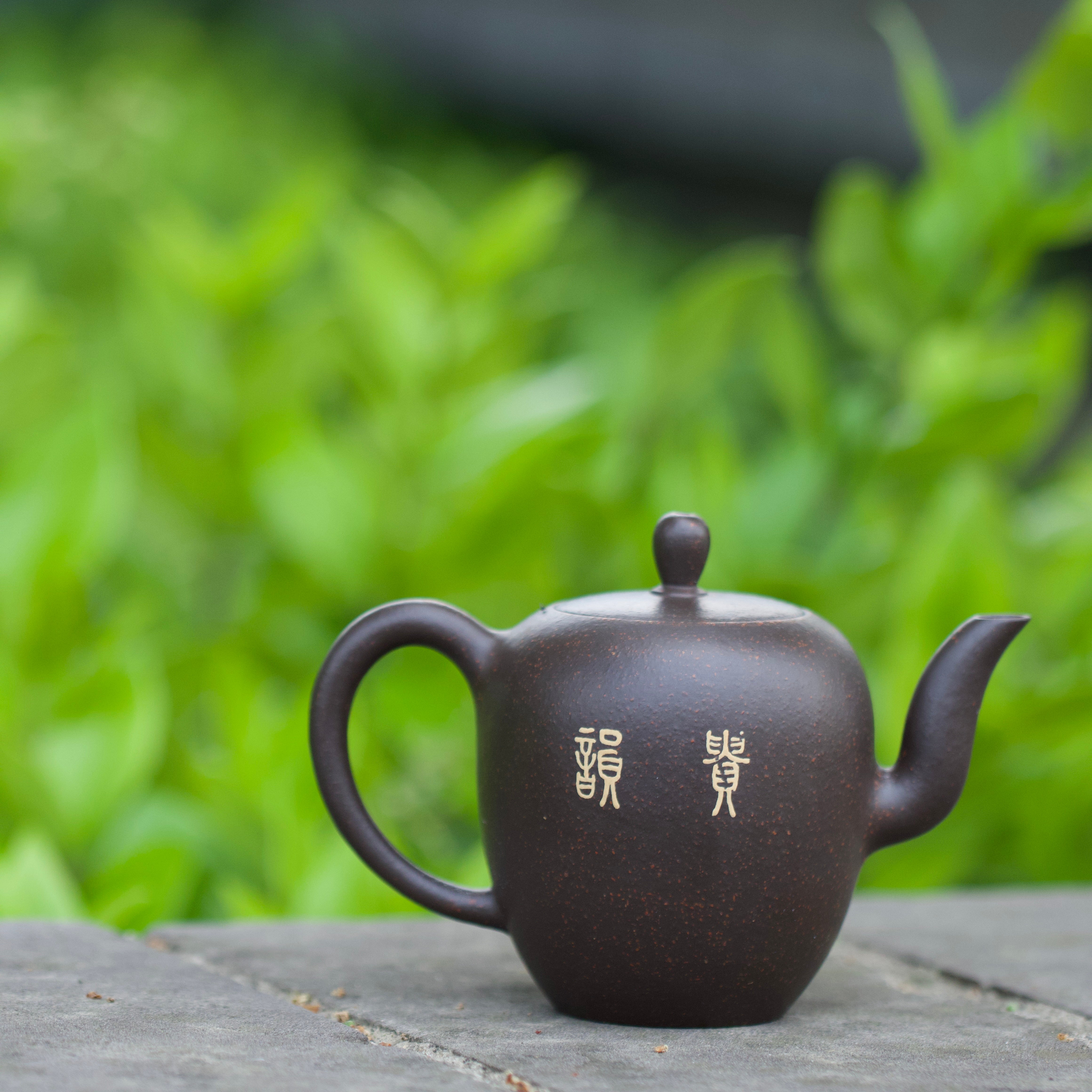 Hua Jian Cui Niao 175cc - Yixing Handmade Teapot.
