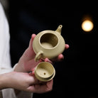 Ai Li 100cc - Yixing Handmade Teapot 江苏宜兴