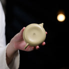 Ai Li 100cc - Yixing Handmade Teapot 江苏宜兴