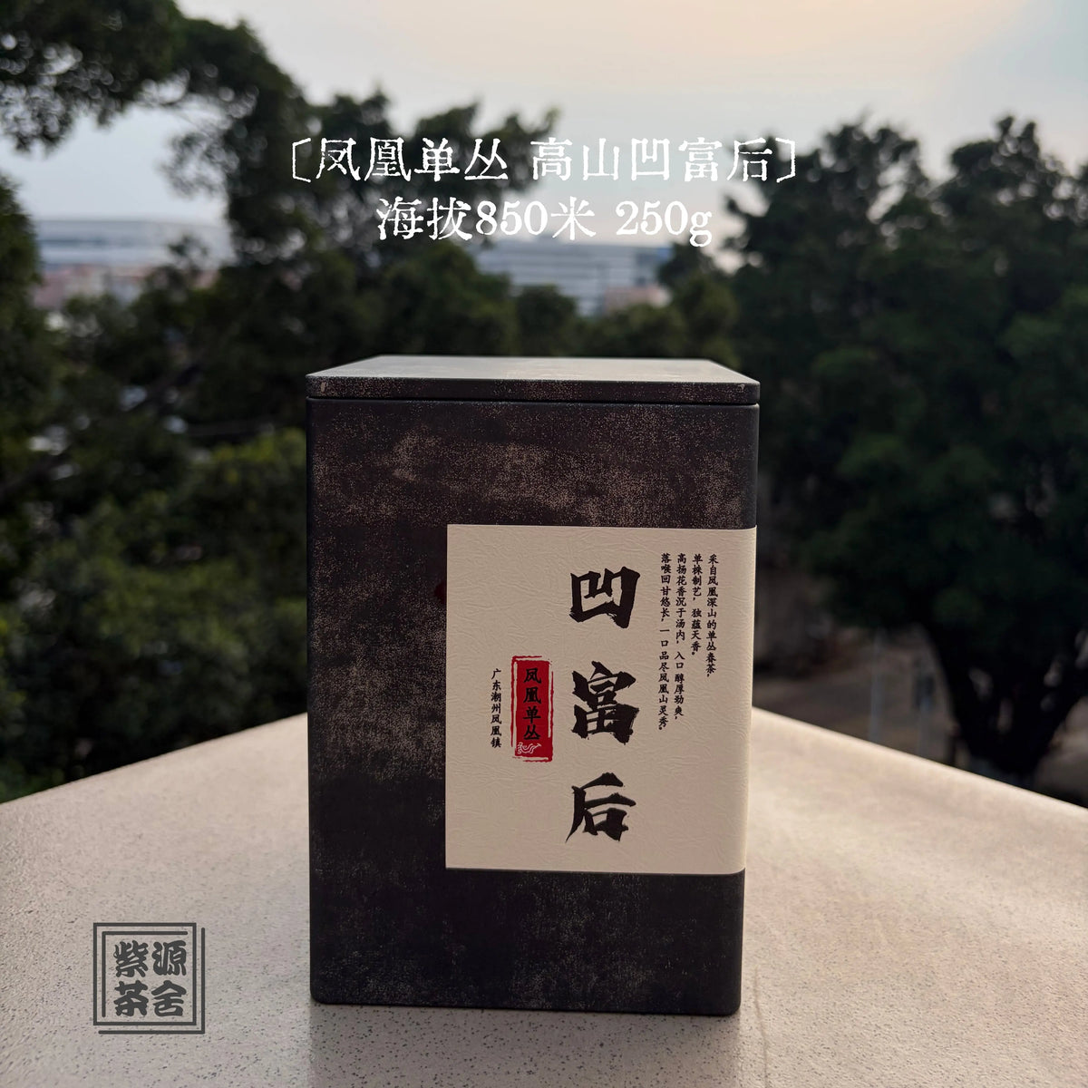 Ao Fu Hou Phoenix Dancong - Fine Tea zycschina