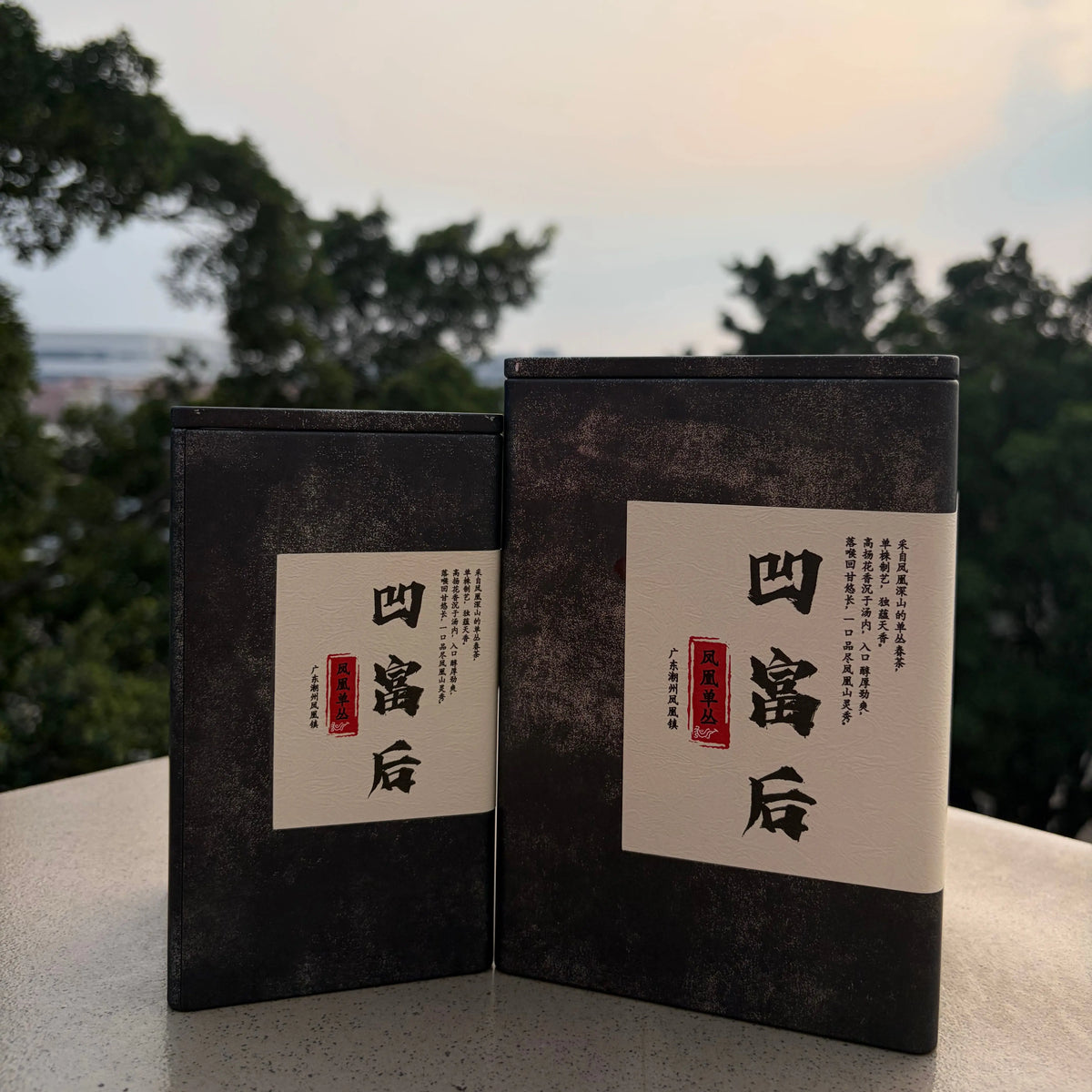 Ao Fu Hou Phoenix Dancong - Fine Tea zycschina