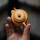 Ba Ba Hu 35cc - Yixing Handmade Teapot 江苏宜兴