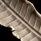 Ba Jiao Ye - Mammoth Tea Spoon zycschina