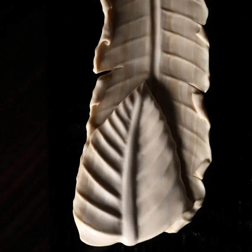 Ba Jiao Ye - Mammoth Tea Spoon zycschina