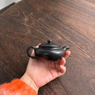 Bian Fu 200cc - Yixing Handmade Teapot 江苏宜兴