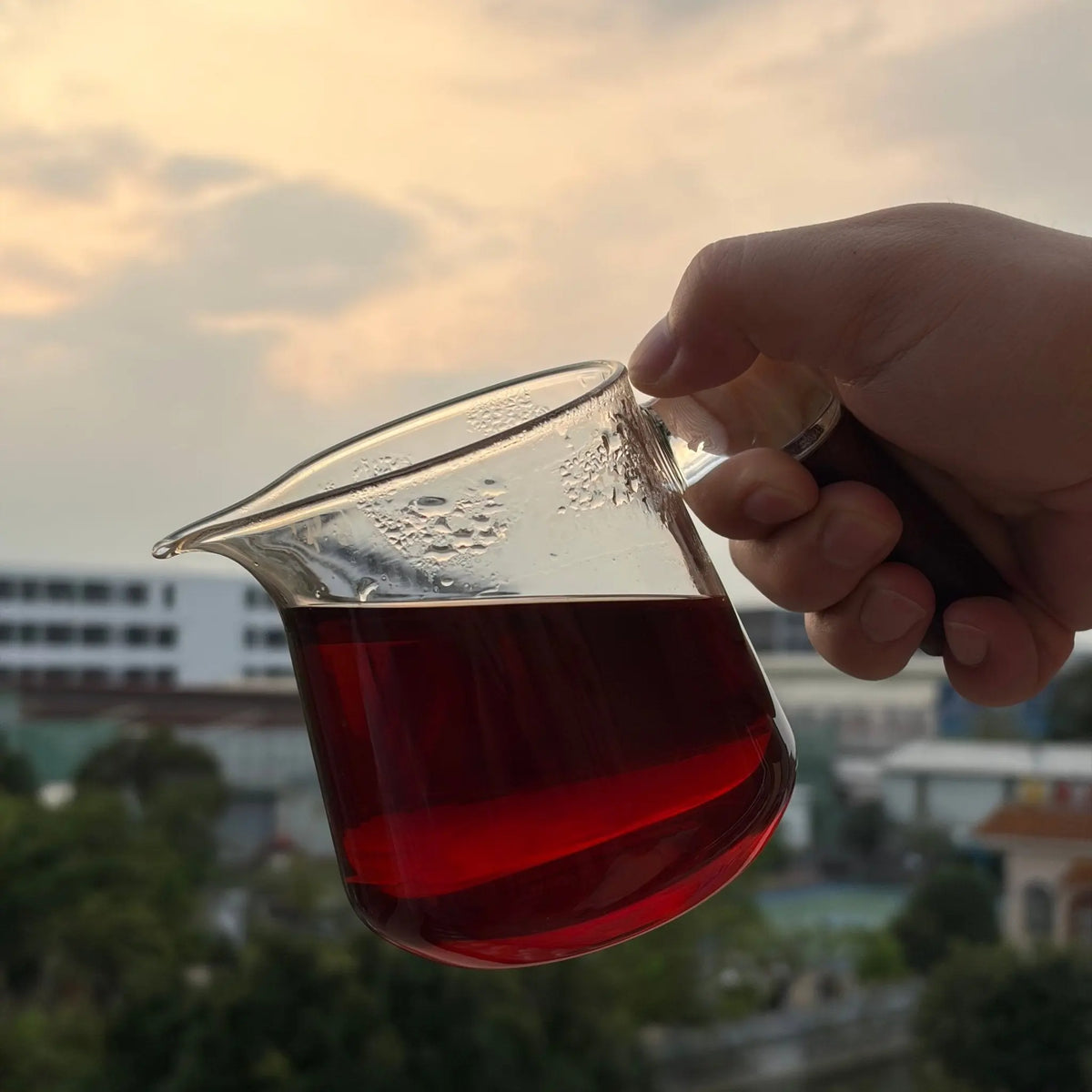 Bu Lang Pu'er Tea - Fine Tea 【B】 zycschina