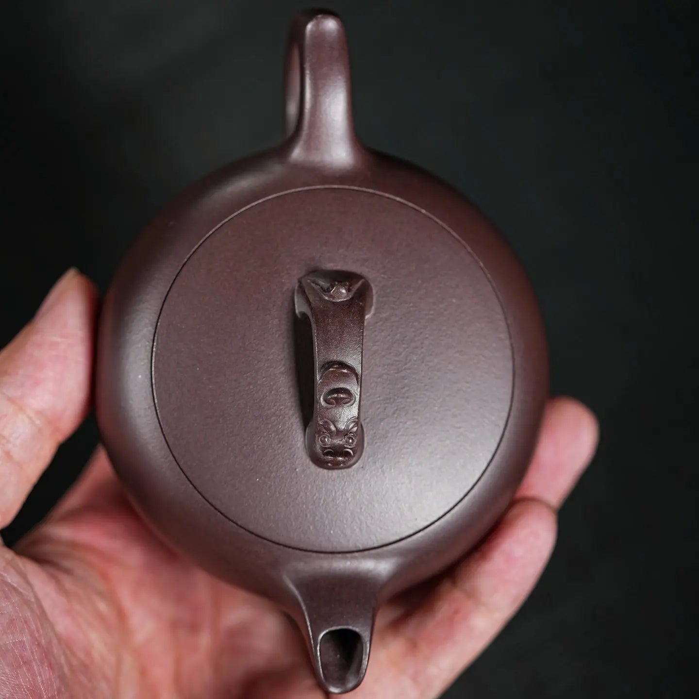 Cang Long 145cc - Yixing Handmade Teapot 江苏宜兴