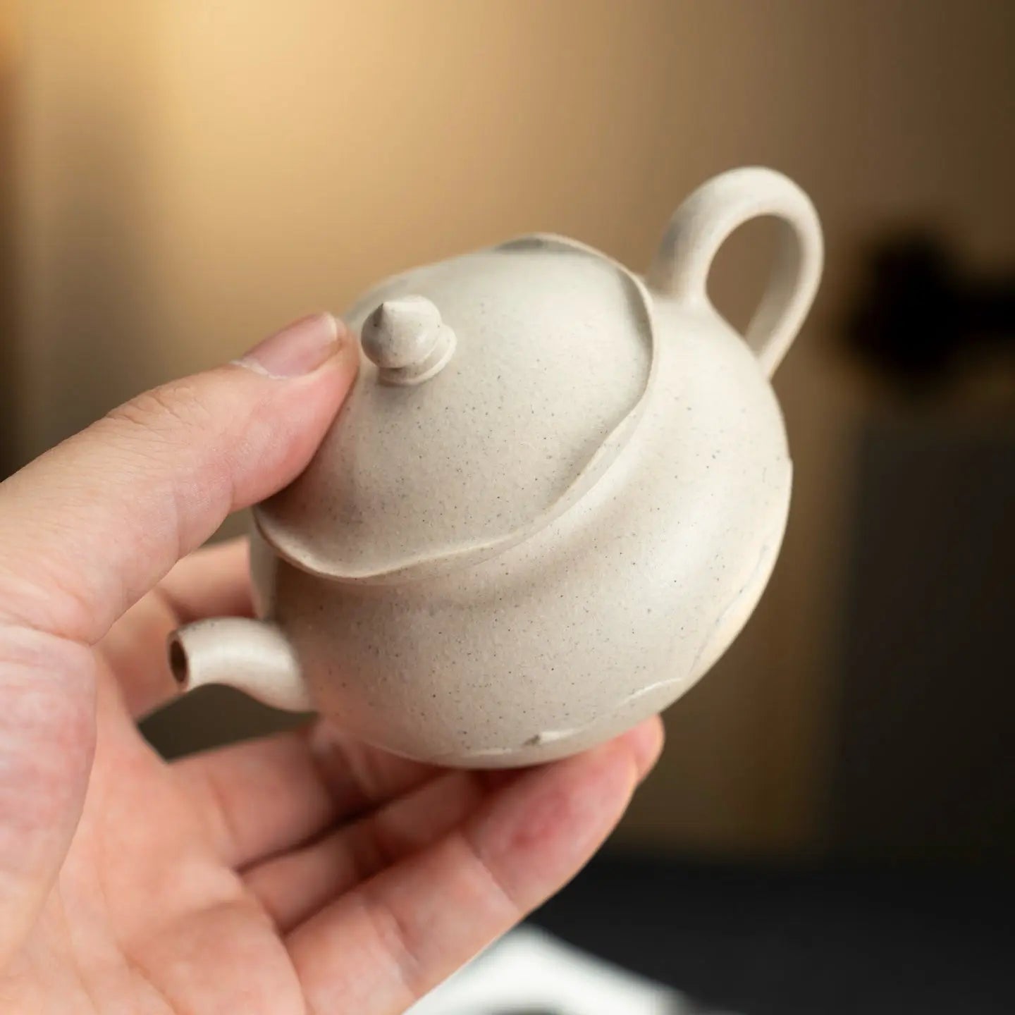 Chan Xin 150cc - Yixing Handmade Teapot 江苏宜兴