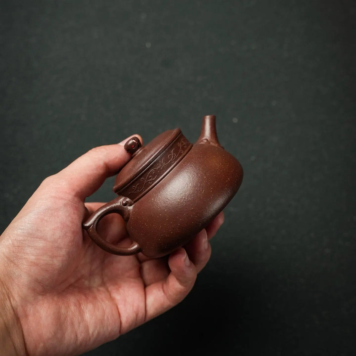 Chan Yun 150cc - Yixing Handmade Teapot 江苏宜兴