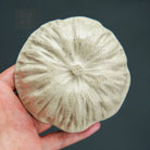 Chan Yun - Dry Bubble Tray 江苏宜兴