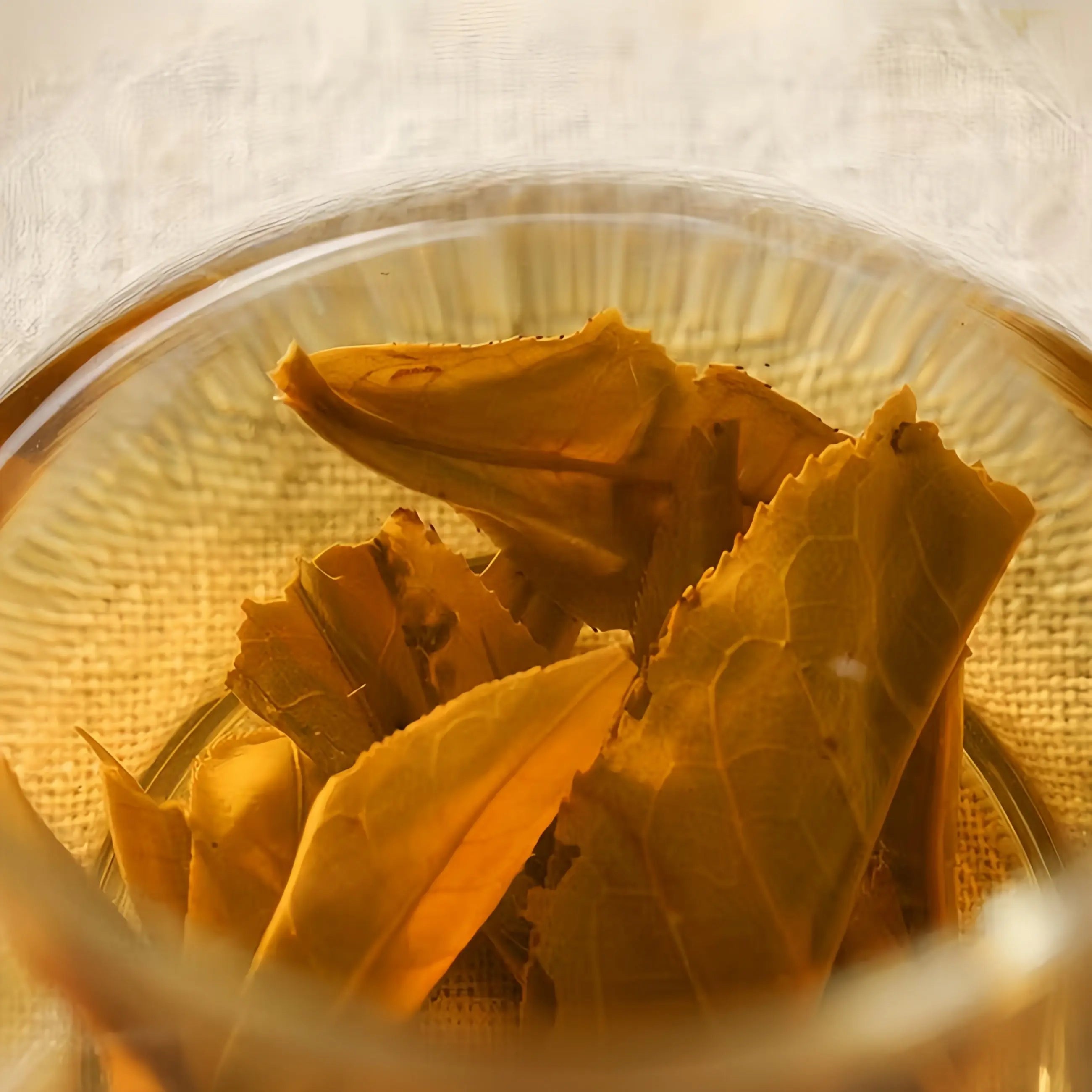 Da Ban Zhang Pu'er Tea - Fine Tea zycschina