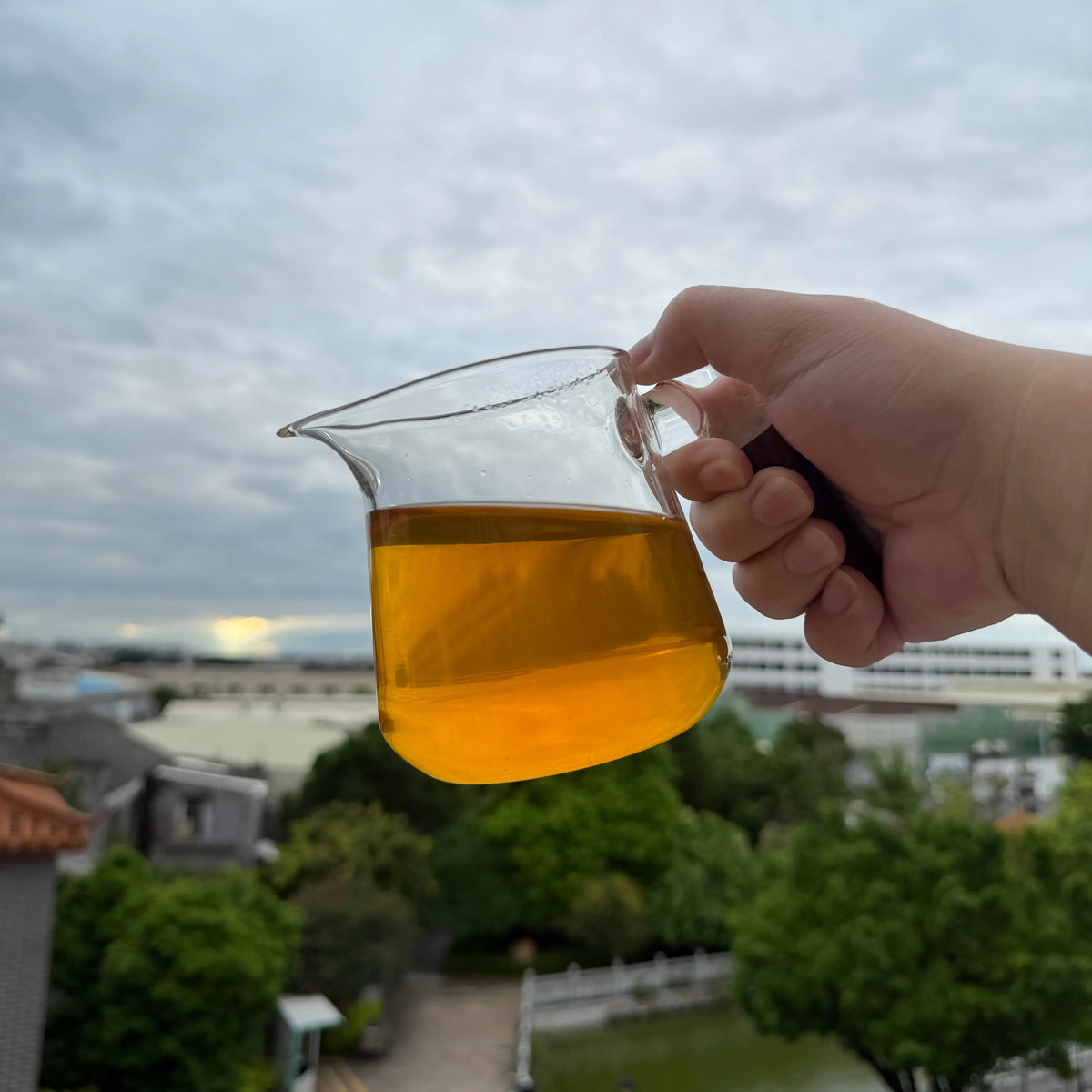 Da Wu Ye Phoenix Dancong - Fine Tea zycschina