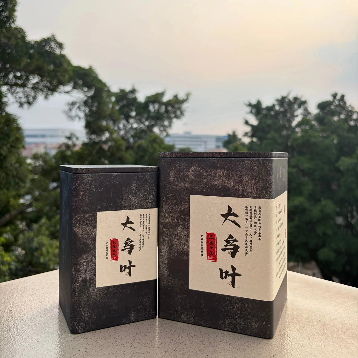 Da Wu Ye Phoenix Dancong - Fine Tea zycschina