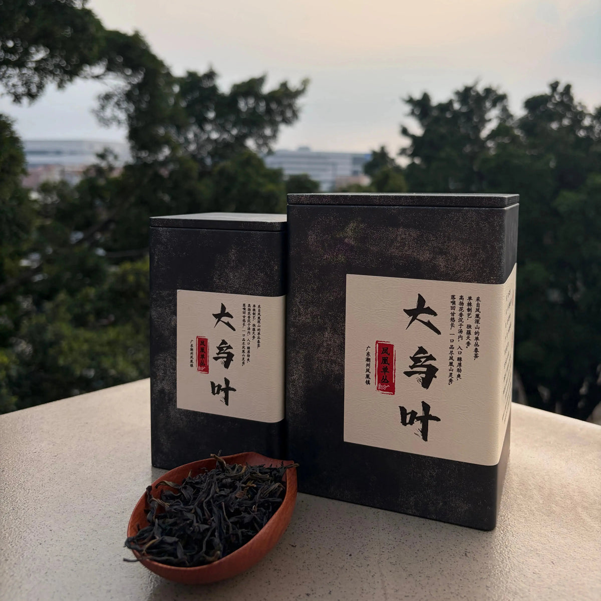 Da Wu Ye Phoenix Dancong - Fine Tea zycschina