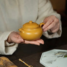 Fang Gu 200cc - Yixing Handmade Teapot 江苏宜兴