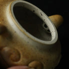 Fang Gu Ru Yi 150cc - Yixing Handmade Teapot 江苏宜兴
