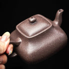 Feng Liu Zai Xiang 170cc - Yixing Handmade Teapot 江苏宜兴