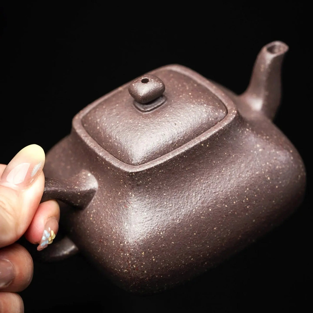 Feng Liu Zai Xiang 170cc - Yixing Handmade Teapot 江苏宜兴
