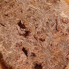 Gan Pao Tai - Dry Bubble Tray zycschina