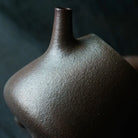 Gao Piao 100cc - Yixing Handmade Teapot 江苏宜兴