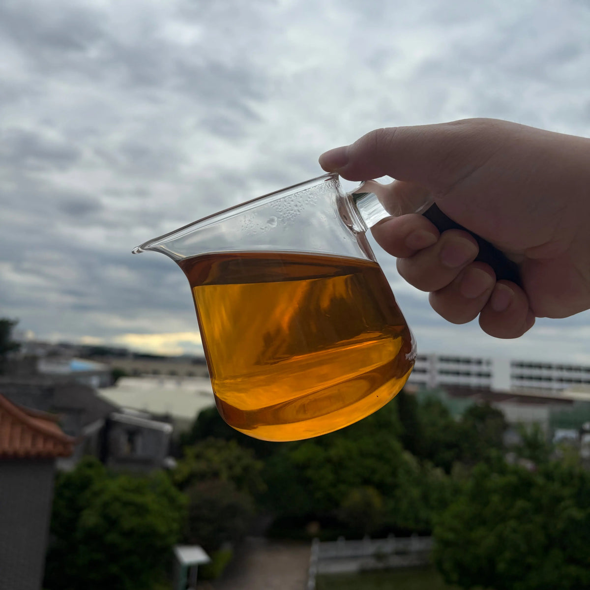 Gao Shan Ju Duo Zai Phoenix Dancong - Fine Tea zycschina