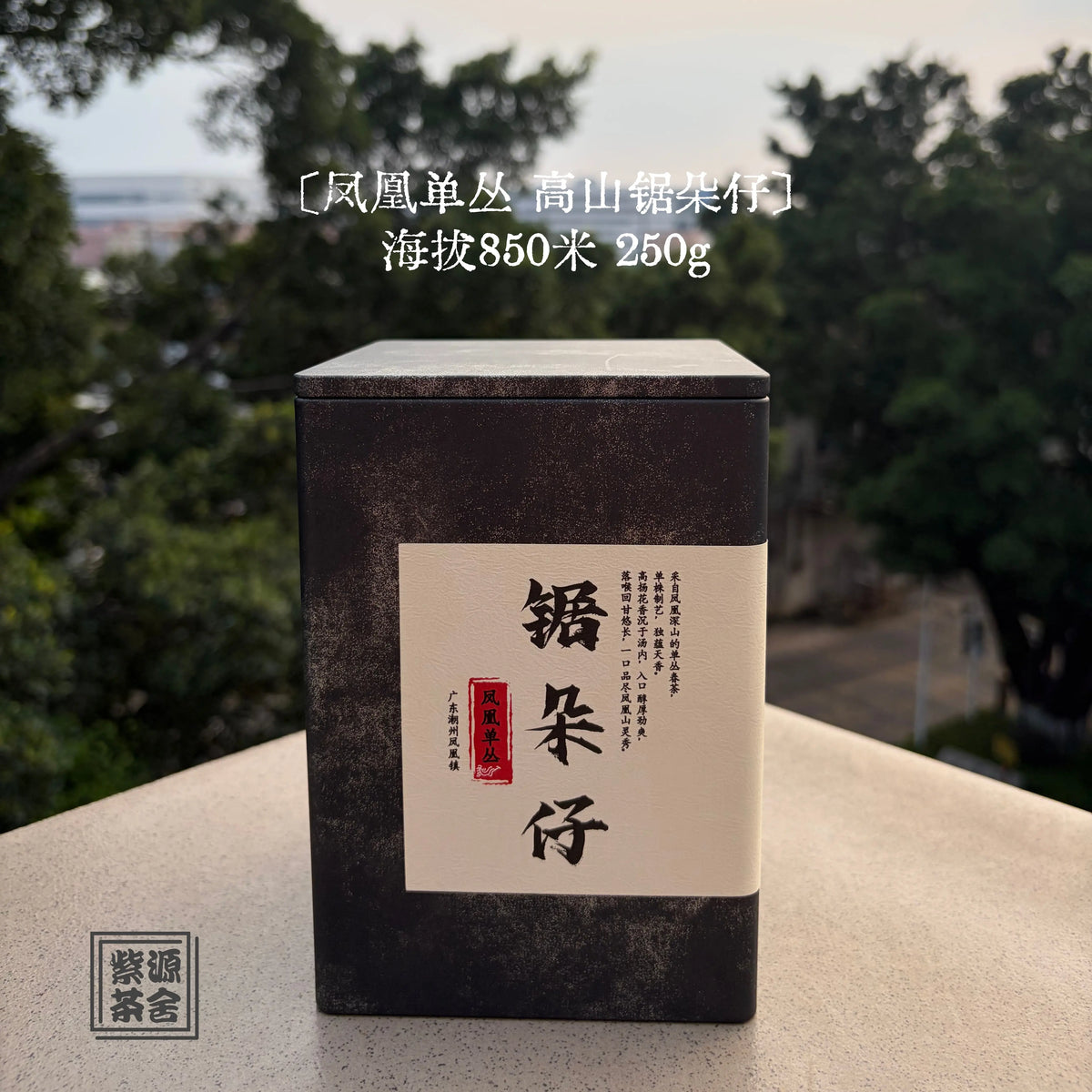 Gao Shan Ju Duo Zai Phoenix Dancong - Fine Tea zycschina