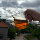 Gao Shan Song Zhong Phoenix Dancong - Fine Tea zycschina