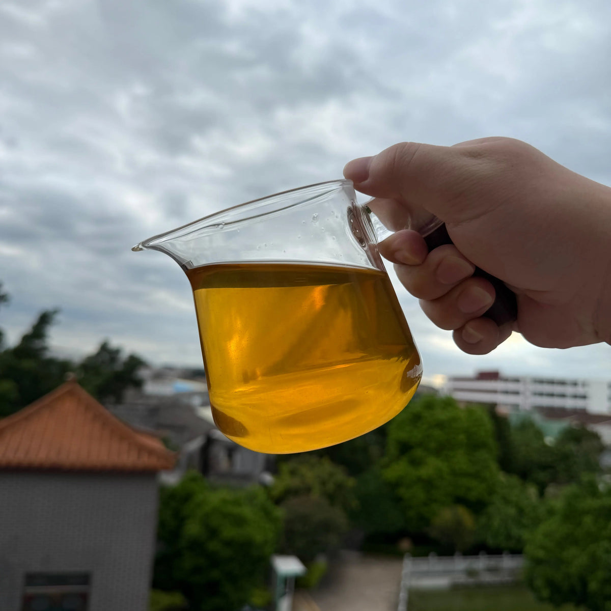 Gao Shan Ya Shi Xiang Phoenix Dancong - Fine Tea zycschina