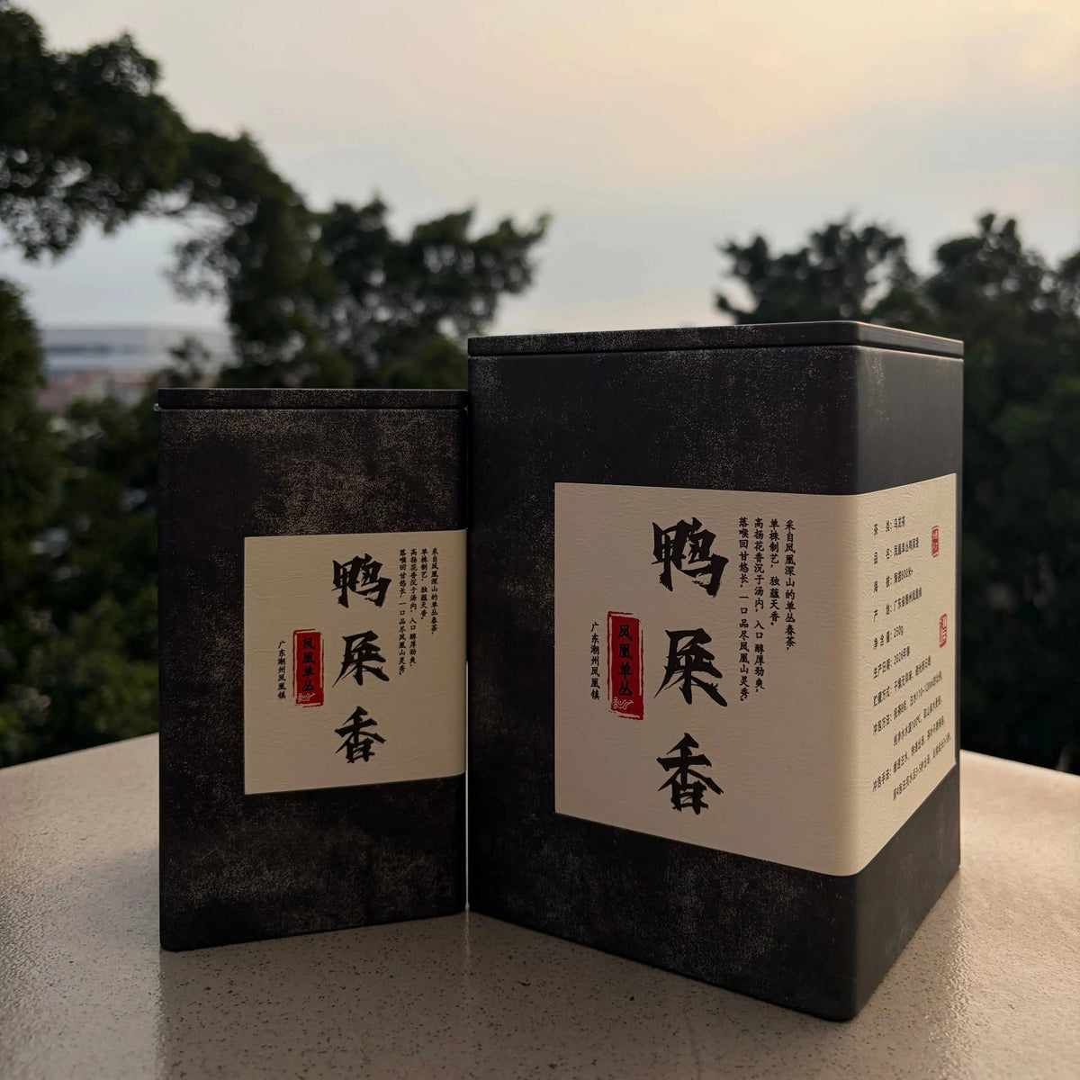 Gao Shan Ya Shi Xiang Phoenix Dancong - Fine Tea zycschina