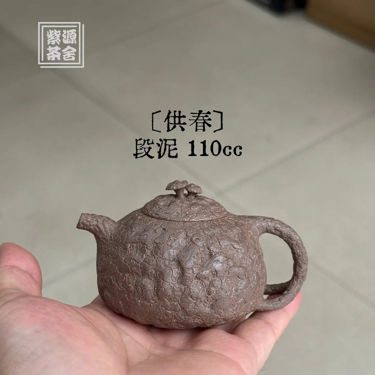 Gong Chun 110cc - Yixing Handmade Teapot 江苏宜兴