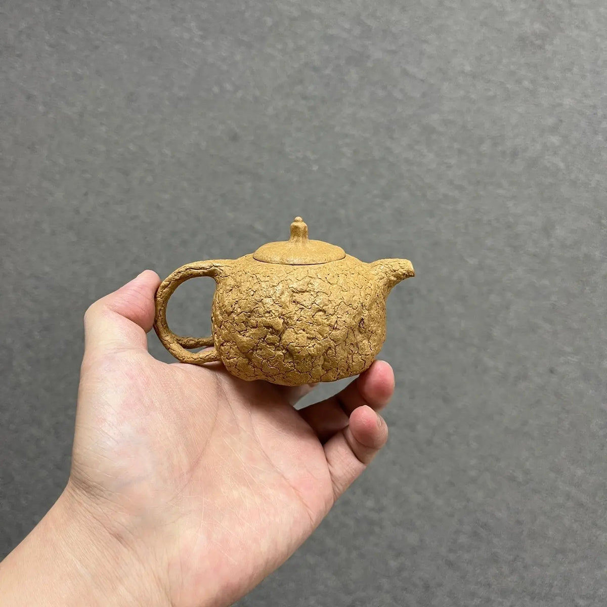 Gong Chun 160cc - Yixing Handmade Teapot 江苏宜兴