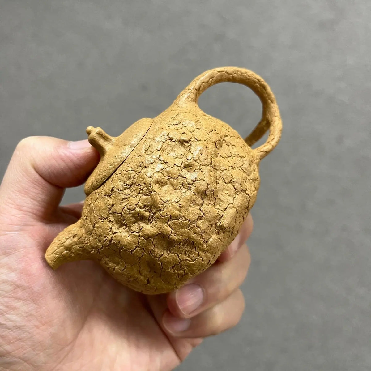 Gong Chun 160cc - Yixing Handmade Teapot 江苏宜兴