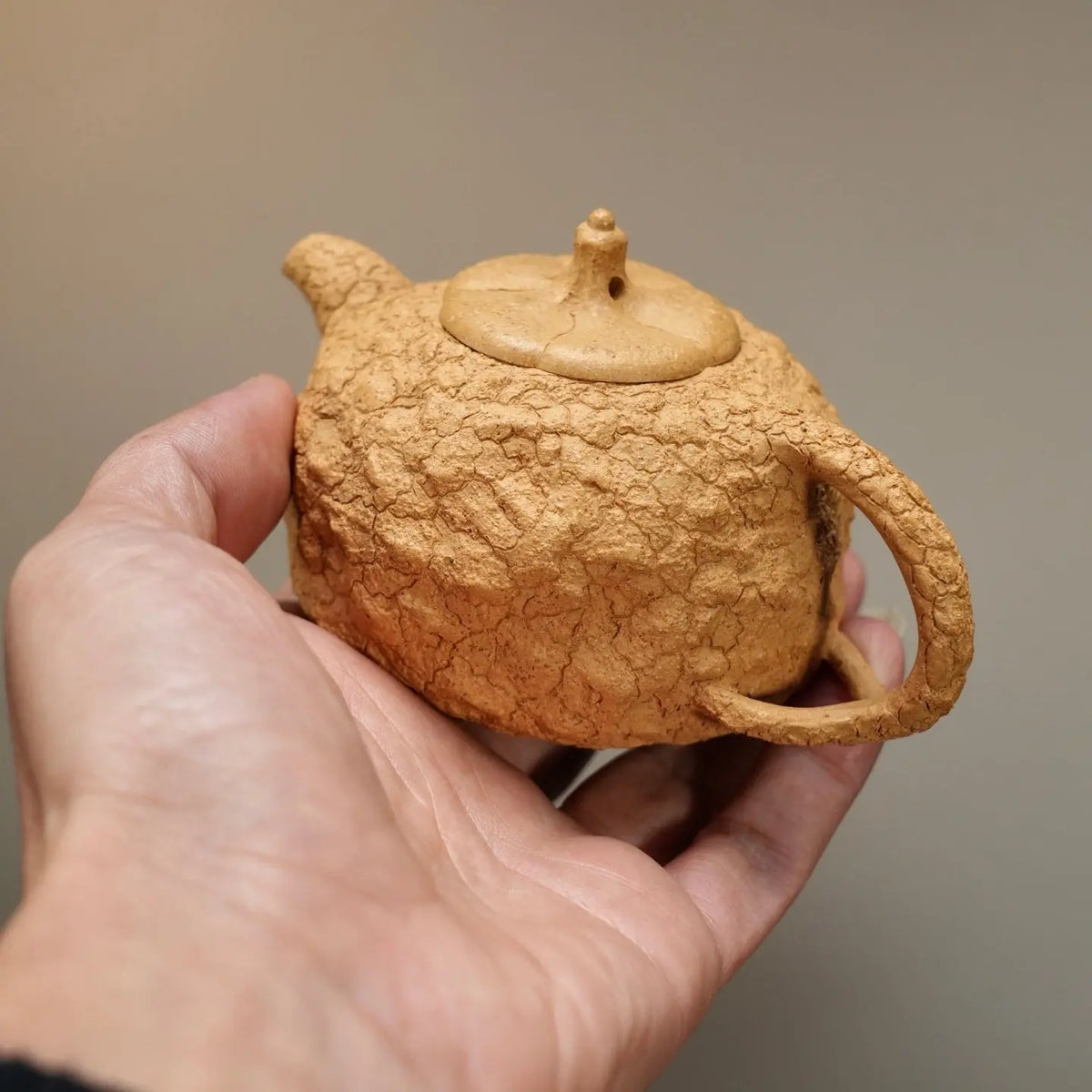 Gong Chun 170cc - Yixing Handmade Teapot 江苏宜兴