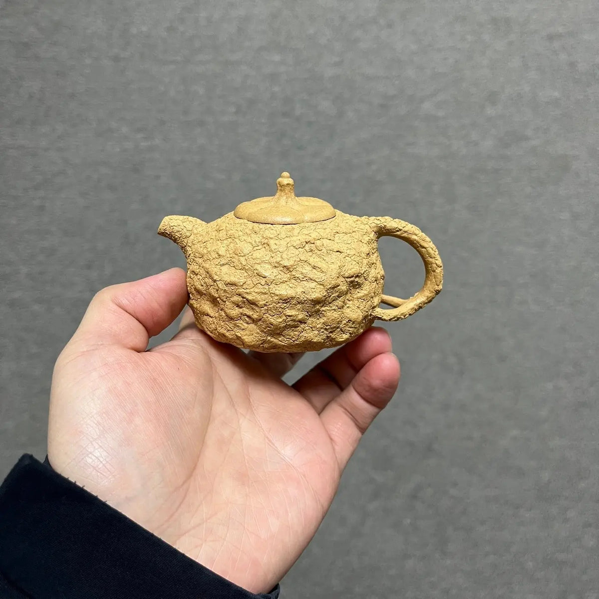 Gong Chun 170cc - Yixing Handmade Teapot 江苏宜兴