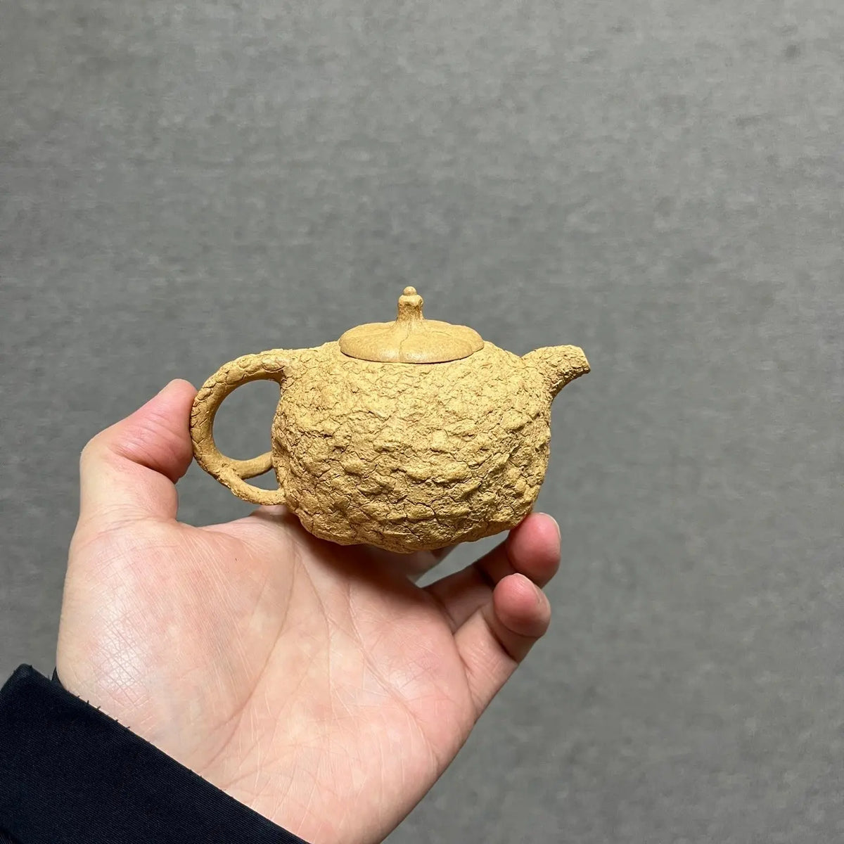 Gong Chun 170cc - Yixing Handmade Teapot 江苏宜兴