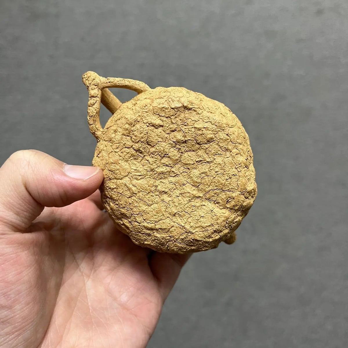 Gong Chun 170cc - Yixing Handmade Teapot 江苏宜兴