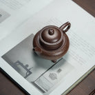 Gu You Ao Xue 180cc - Yixing Handmade Teapot 江苏宜兴