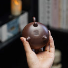 Gu You Ao Xue 180cc - Yixing Handmade Teapot 江苏宜兴