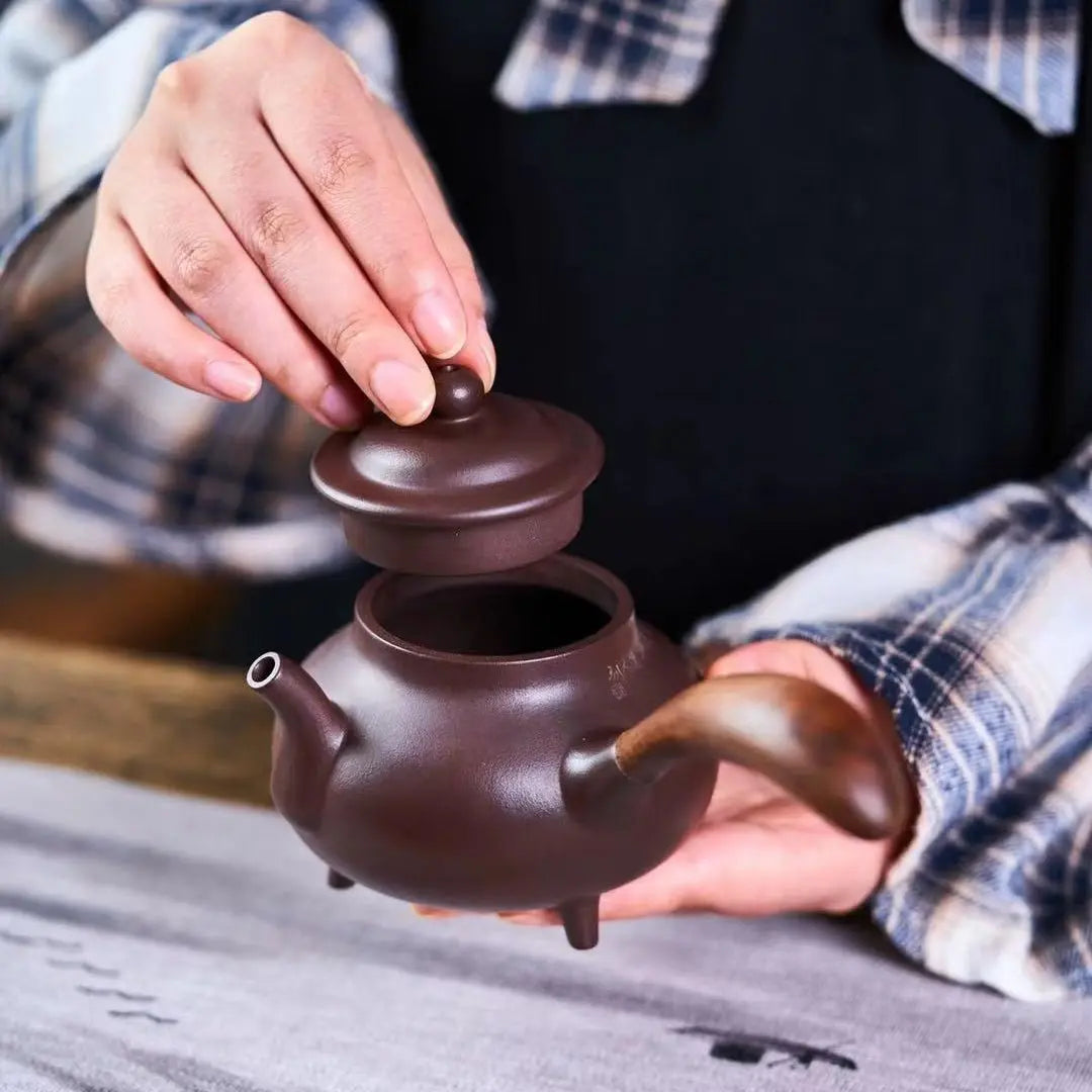 Guan Cang Hai 230cc - Yixing Handmade Teapot 江苏宜兴