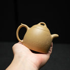 Guan Lan 180cc - Yixing Handmade Teapot 江苏宜兴