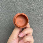 Ha Mi Gua 200cc - Yixing Handmade Teapot 江苏宜兴