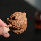 Hao Shi Hua Sheng 85cc - Yixing Handmade Teapot 江苏宜兴
