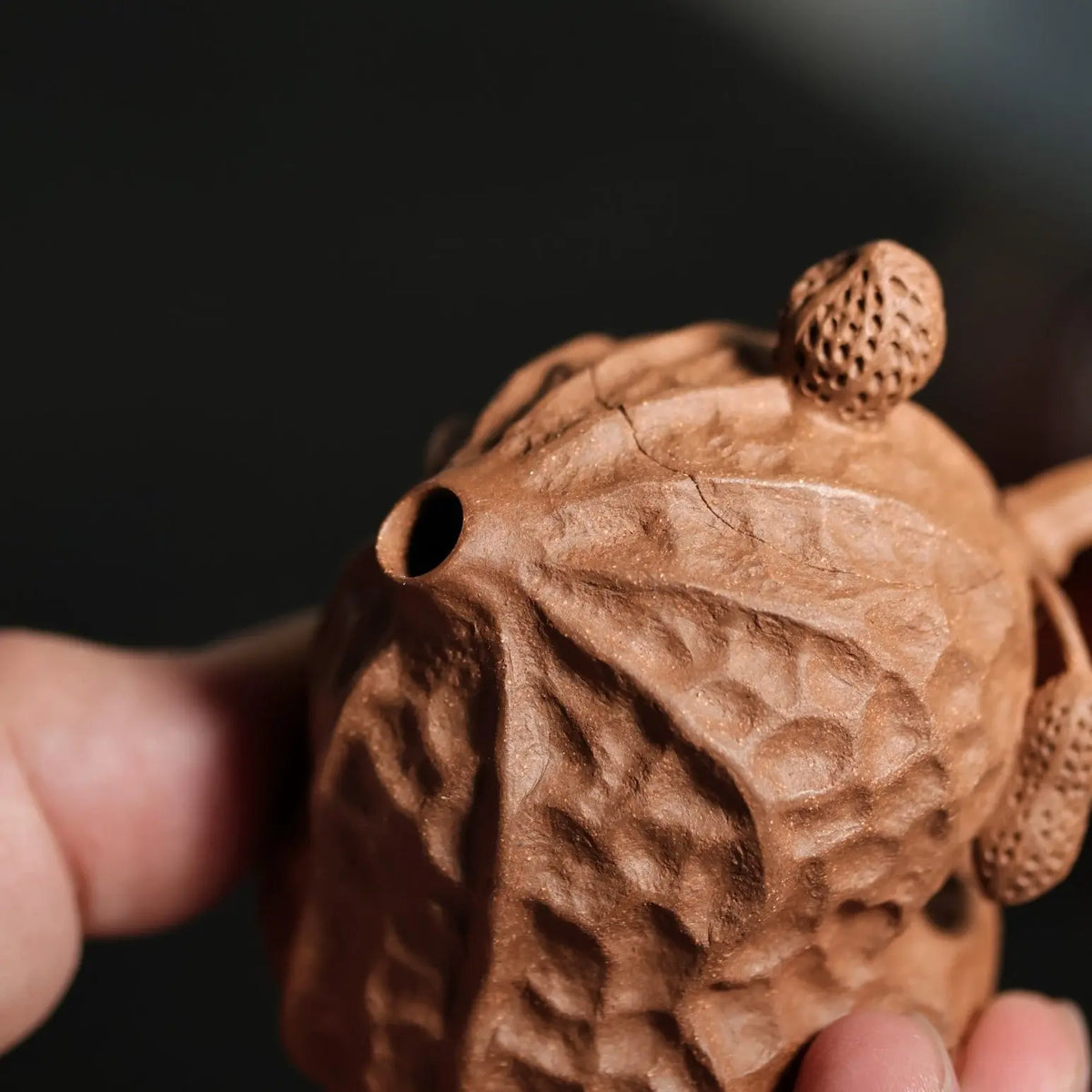 Hao Shi Hua Sheng 85cc - Yixing Handmade Teapot 江苏宜兴