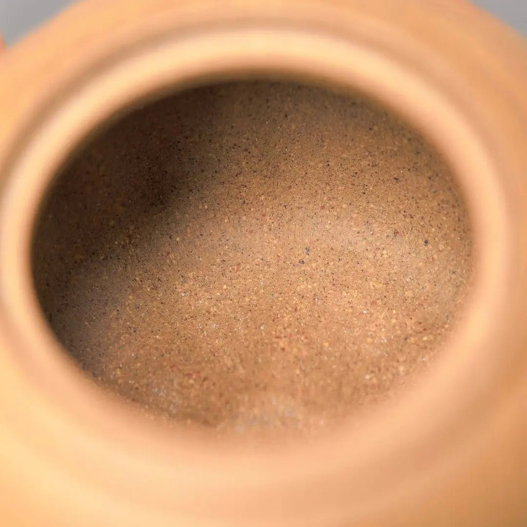 He Tang Wa Qu 130cc - Yixing Handmade Teapot 江苏宜兴