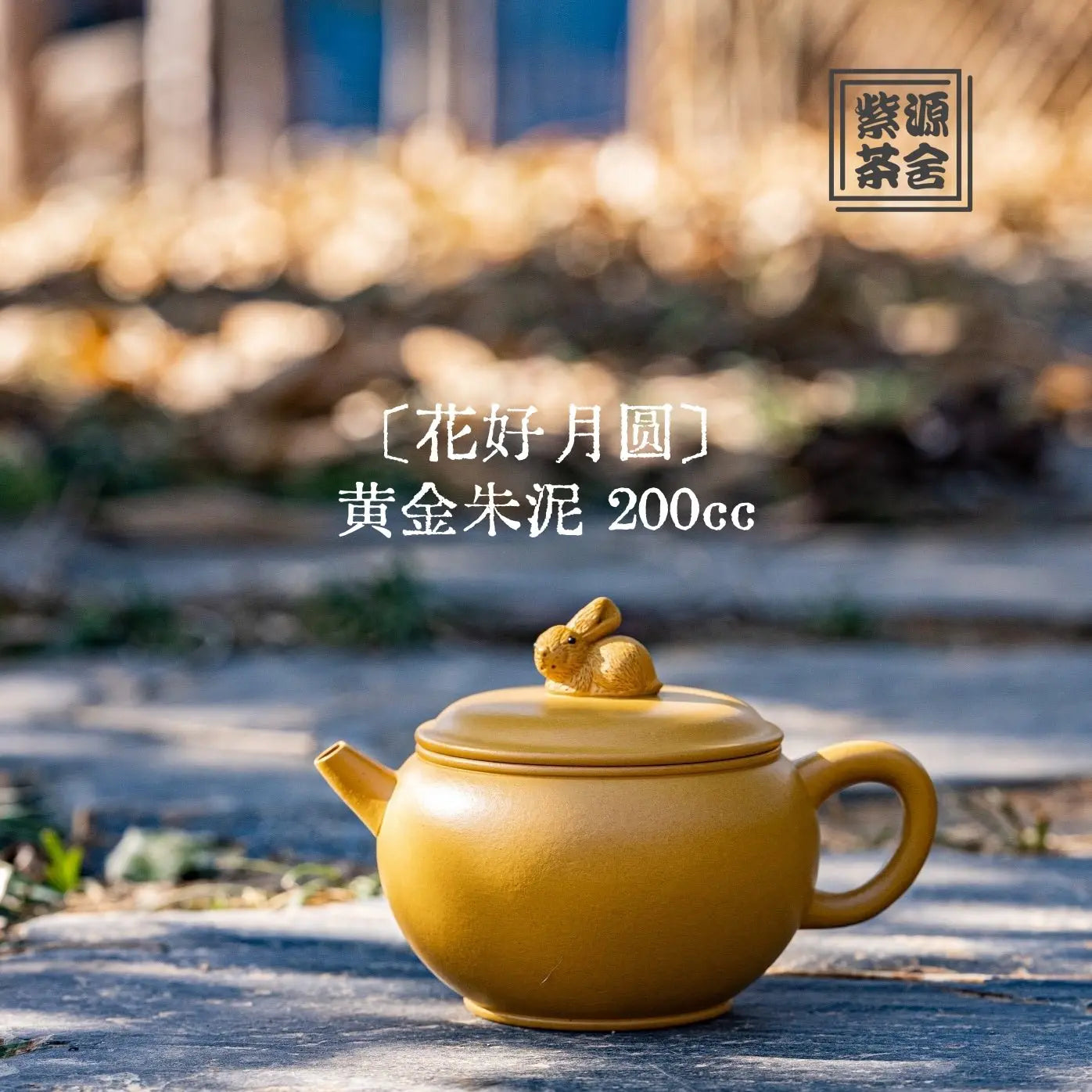 Hua Hao Yue Yuan 200cc - Yixing Handmade Teapot 江苏宜兴