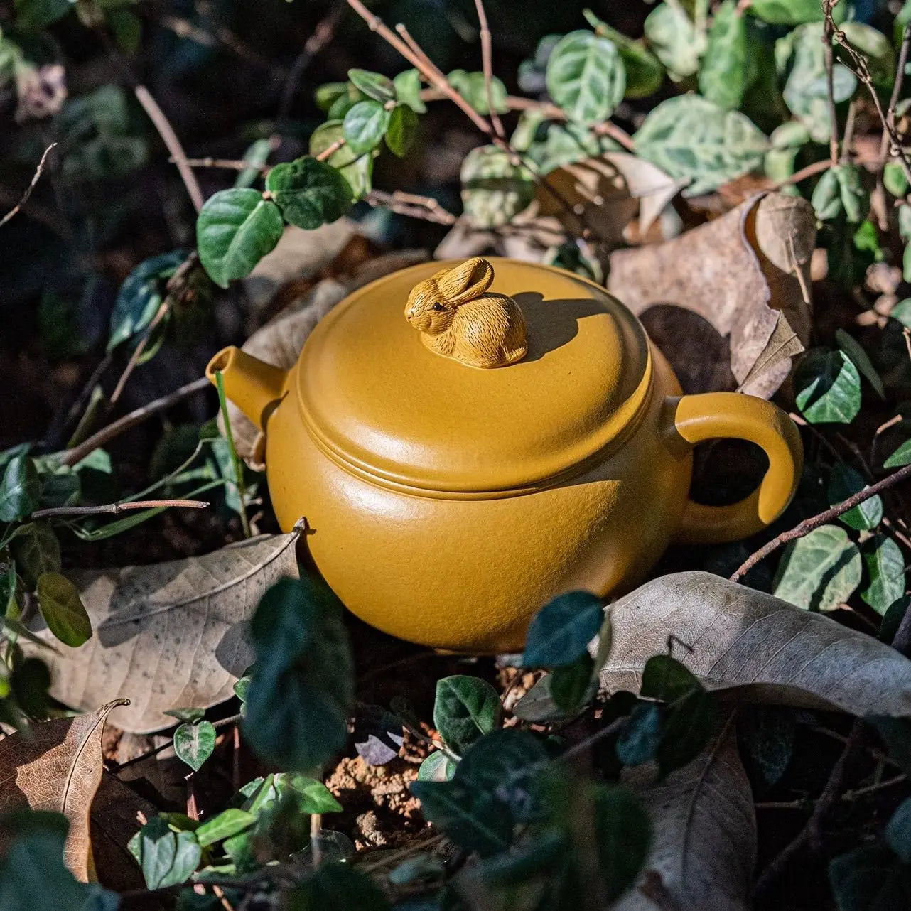 Hua Hao Yue Yuan 200cc - Yixing Handmade Teapot 江苏宜兴