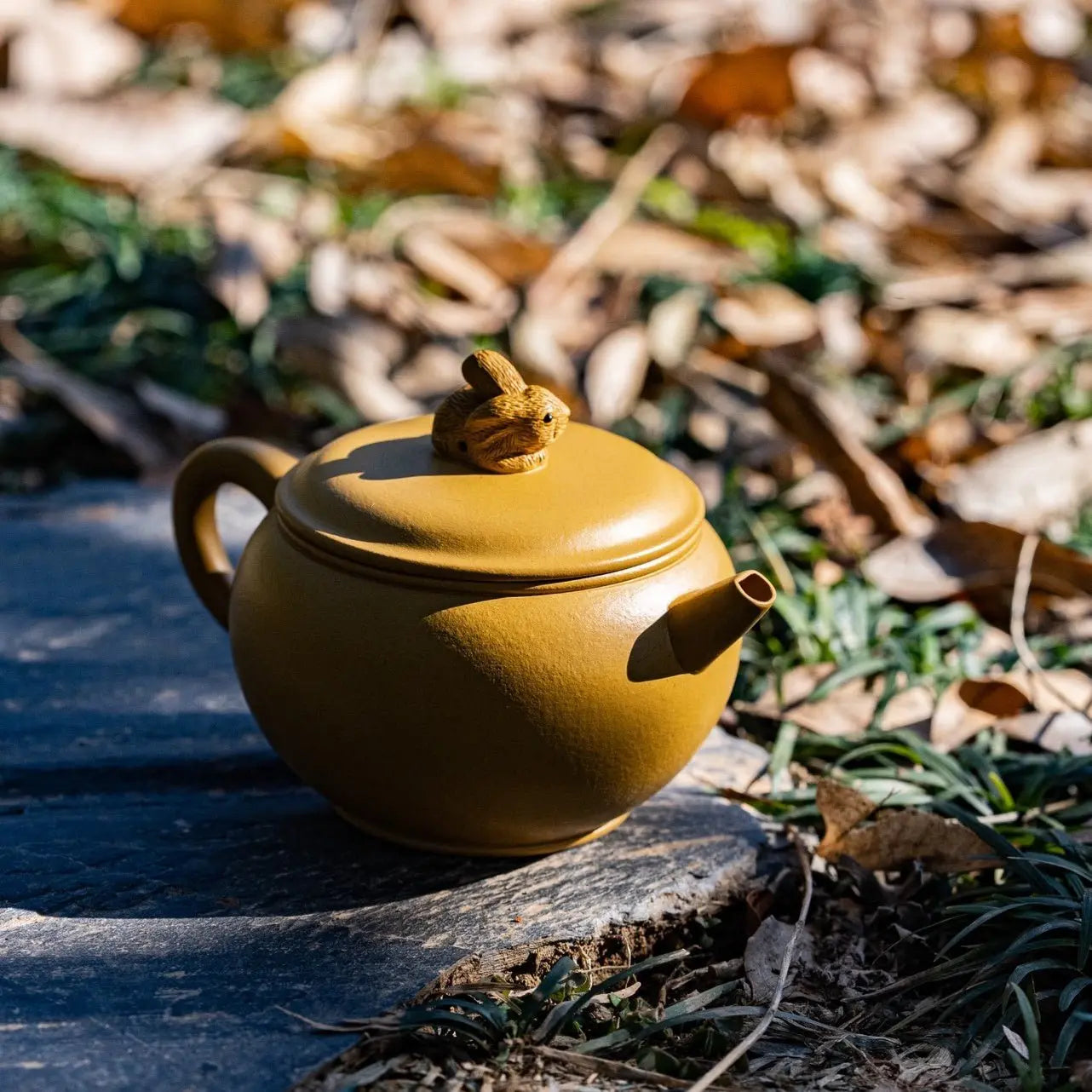 Hua Hao Yue Yuan 200cc - Yixing Handmade Teapot 江苏宜兴