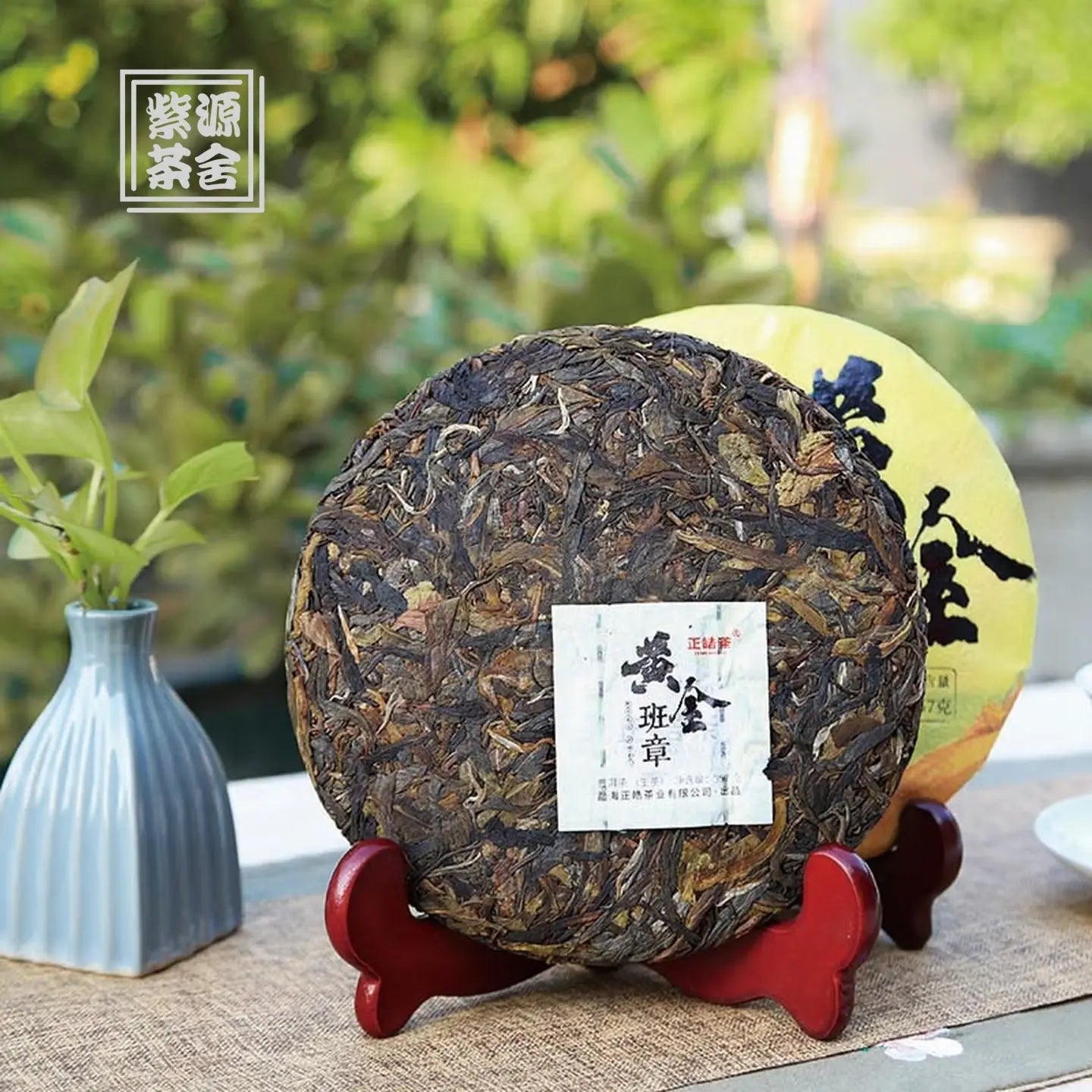 Huang Jin Ban Zhang Pu'er Tea - Fine Tea zycschina