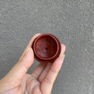 Huo Yan Gui Long 250cc - Yixing Handmade Teapot 江苏宜兴
